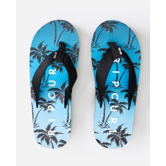 1Sommer 2021\RipCurl\blueplm 1.jpg